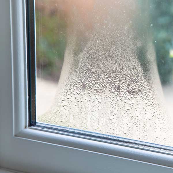 wisbech glass repairs